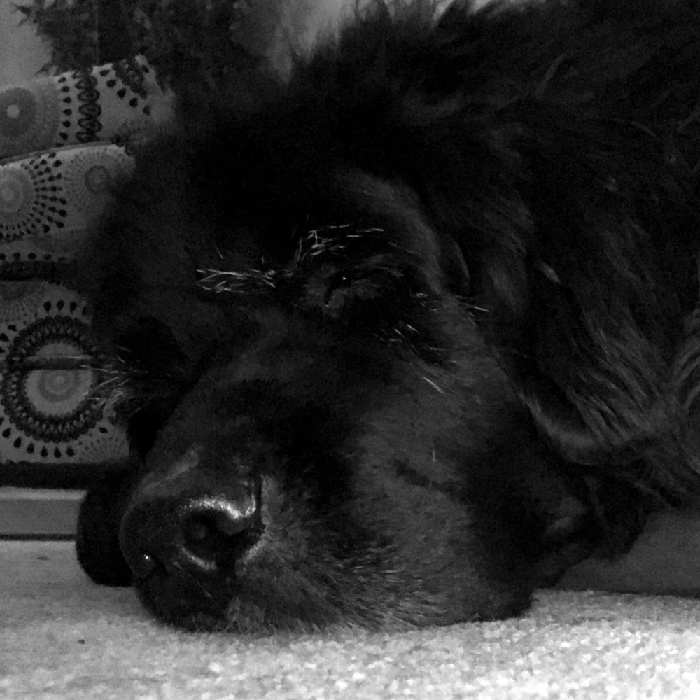 Meet your Posher, Beth